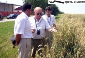 СТАРТУВАЛИ ЖНИВА-2011