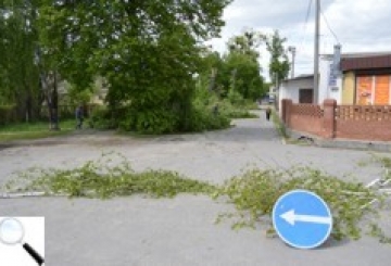 Біля стадіону позрізали дерева. Влада обіцяє тут паркінг і відпочинкову зону