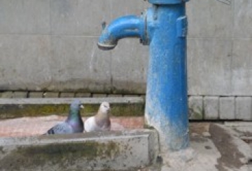 Як місто опинилося без води через вкрадений кабель, і чому «винним» у цьому зробили допис у Фейсбуці?