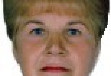 Вітання 29/2017