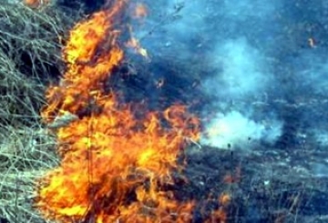 Хроніка 33/2018