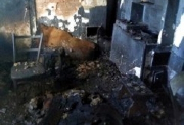 Хроніка 42/2018