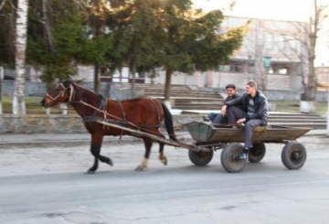 Хроніка 48/2019
