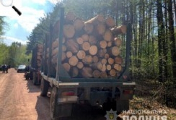 У результаті дій поліції в лісовій галузі зросли надходження до бюджету
