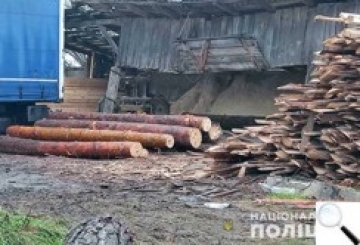 Хроніка 48/2020