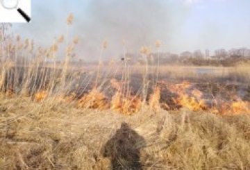 Основною причиною пожеж в екосистемах залишається людський фактор