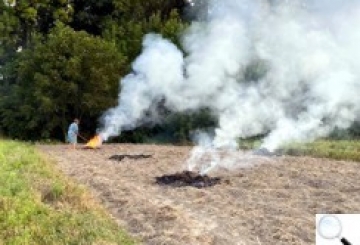 З початку вересня виявлено 27 осіб, які спалювали листя і сміття