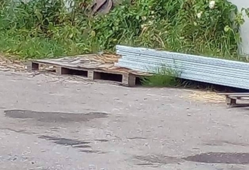 Знайшовся кінь, за якого правили… 200 тисяч грн!