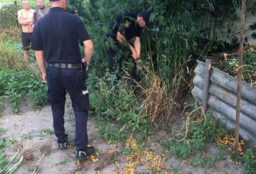 Поліція вилучила наркотики в жителів Наталівки й Олександрівки