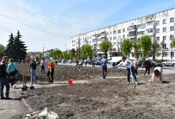 Понад 1000 кущів троянд та зелених  насаджень висаджено на Алеї пам’яті  нескорених міст у Звягелі