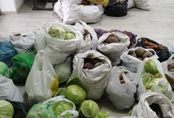 Жителі сіл Новоград-Волинської громади зібрали понад 15 тонн городини для військових