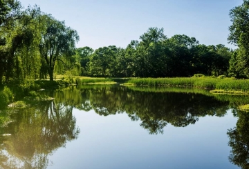 Приватизував берег річки, але за справу взялася прокуратура