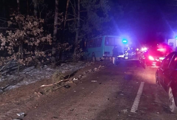 Смертельна ДТП за участю легковика та автобуса сталась біля Житомира