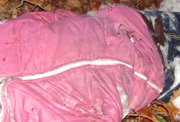 На Житомирщині у лісі знайшли тіло жінки, поліцейські вставляють її особу