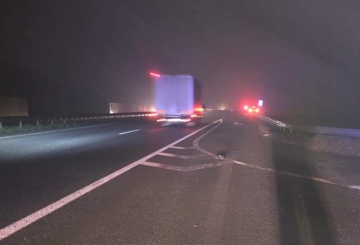 Звягельські поліцейські розшукали водія, який вчинив смертельну ДТП та втік