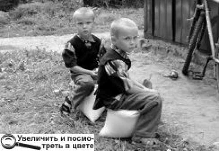 ЗА ЦУКОР ІЗ ДЕРЖРЕЗЕРВУ ПОБИЛИСЯ, А ВЛАДУ ЗАКИДАЛИ ПОМІДОРАМИ