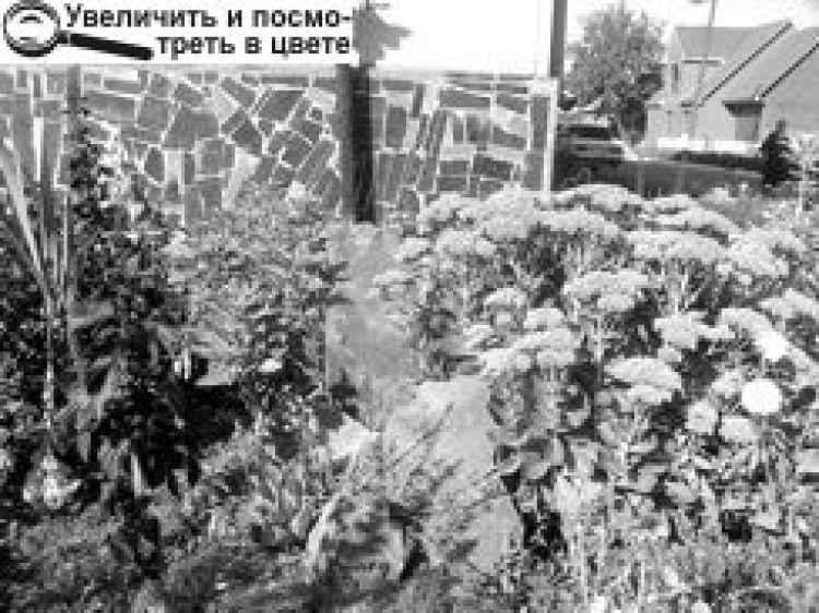 СТВОРЕНИЙ НИМИ ДИВОСВІТ