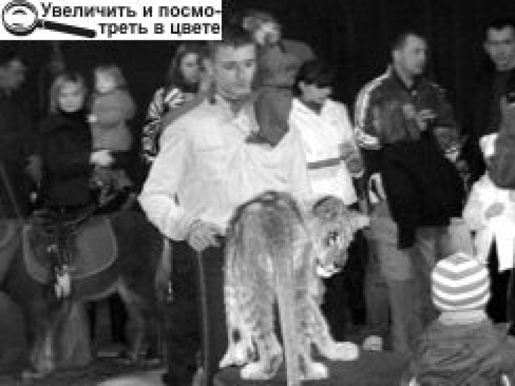ЗАМІСТЬ ПАМ’ЯТНОГО ФОТОЗНІМКА — РВАНІ РАНИ ГОЛОВИ