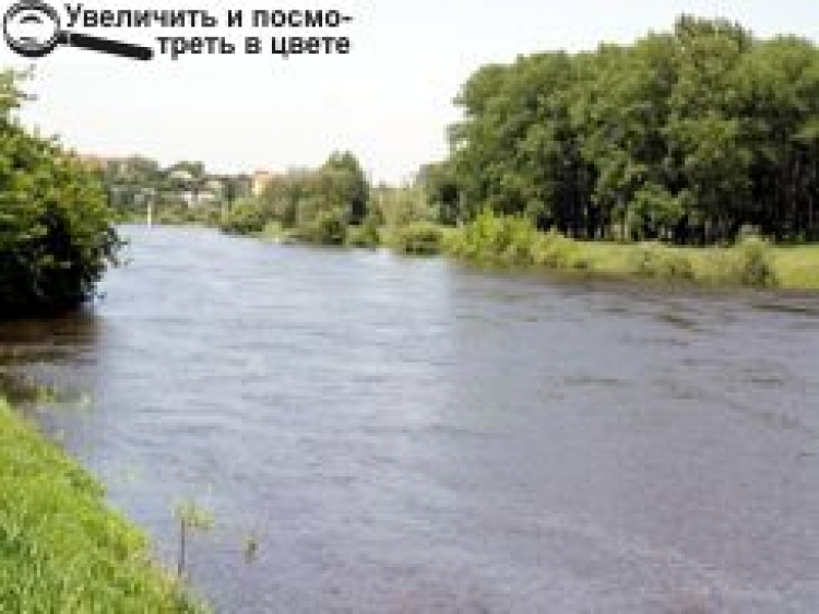 ЗАТОПИЛО МОСТИ ЧЕРЕЗ СЛУЧ