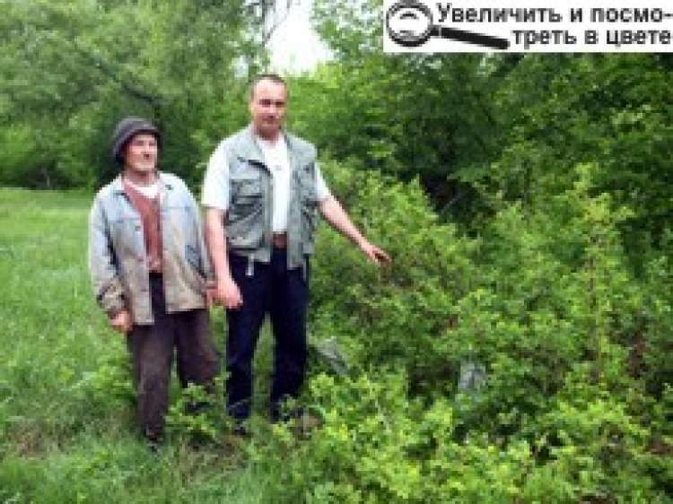 ЗНАЙДЕНО НЕВІДОМЕ ЗАХОРОНЕННЯ ВОЇНІВ-ВИЗВОЛИТЕЛІВ НА БЕРЕЗІ СМОЛКИ