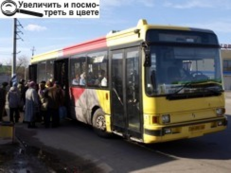 У новий рік — на «пільговому» автобусі