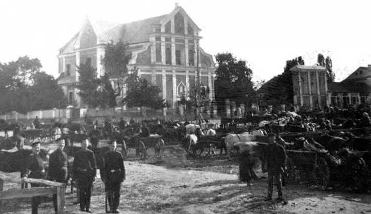 Шукачі скарбів або Таємниці звягельських підземель