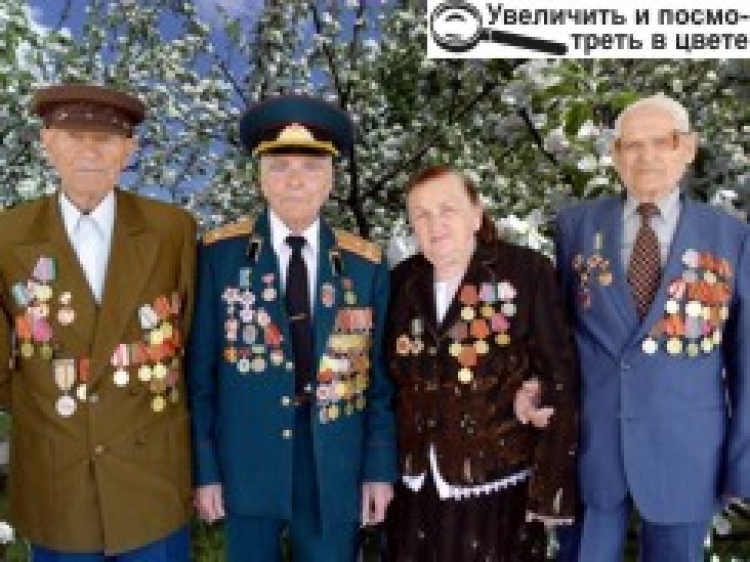 За чисте, мирне небо низький уклін вам, ветерани!