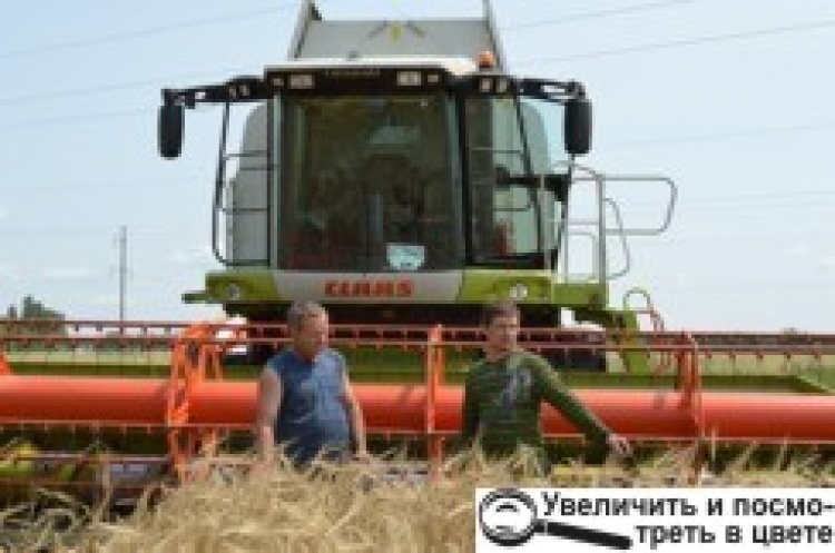 Незважаючи на погодні умови, врожай очікується високий