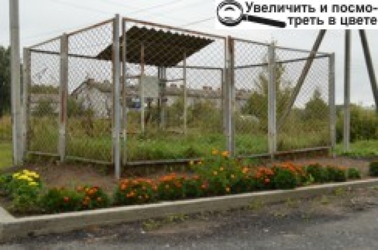 Як звільнити місто від вигрібних ям?