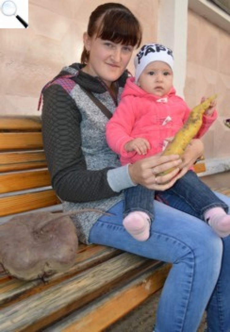 Дивина! На своєму городі — гігантський буряк, вагою 2 кг 650 г