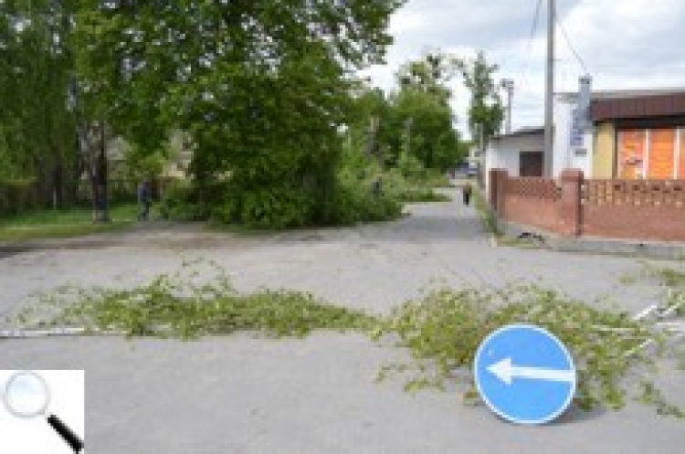 Біля стадіону позрізали дерева. Влада обіцяє тут паркінг і відпочинкову зону