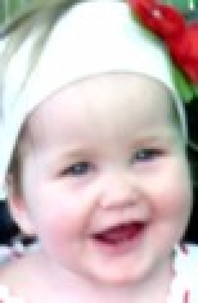 Вітання 25/2017