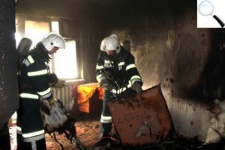 Хроніка 42/2017