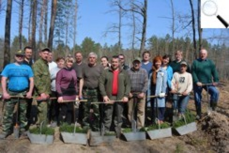 Майбутнє лісу — у наших руках