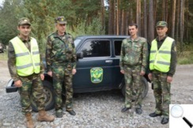 Оподаткування лісу — лісівники проти