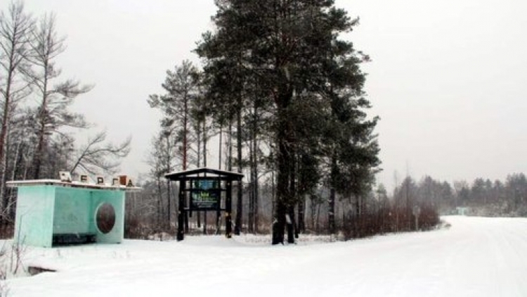 ПП «РІМ-Богдан» коментує трагічні події на Олевщині