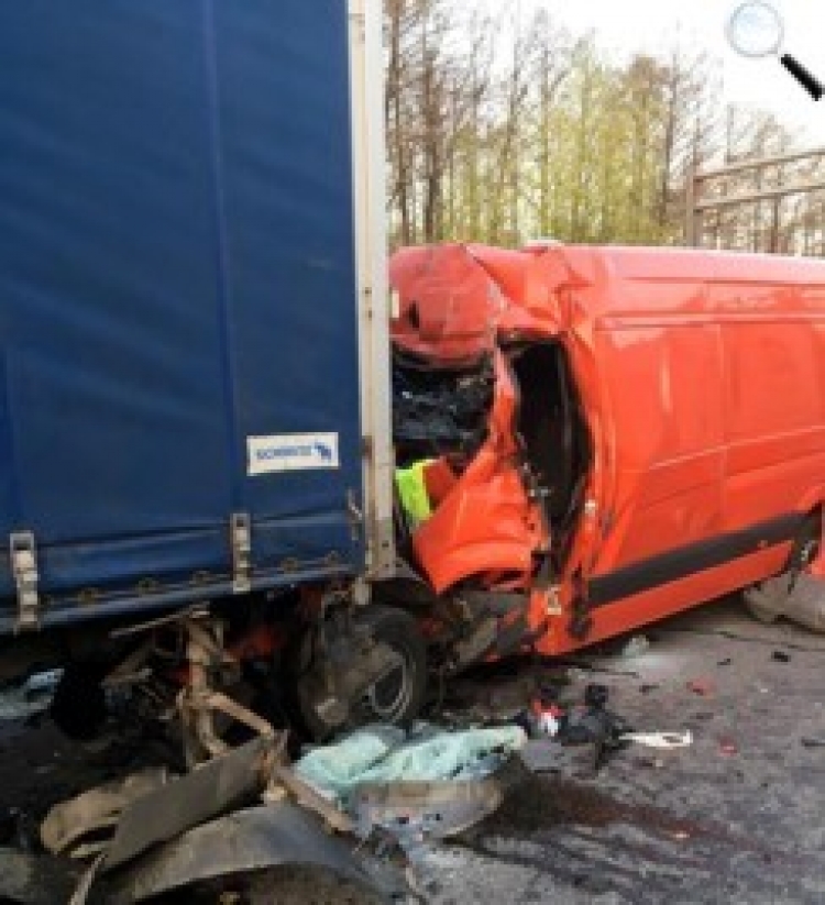 Хроніка 17/2019