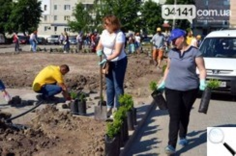 Фабрика «Леся» подарувала місту алею магнолій