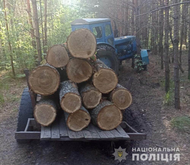 Поблизу Чижівки затримали вантажівку з колодами вільхи