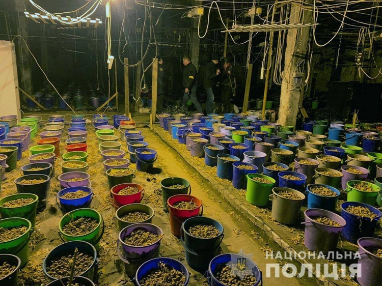 Десятьом наркоділкам оголосили підозри