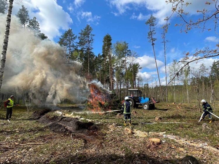 Лісівники та рятувальники відпрацьовують тактику гасіння лісових пожеж