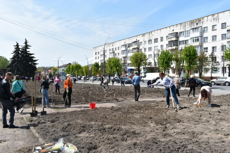 Понад 1000 кущів троянд та зелених  насаджень висаджено на Алеї пам’яті  нескорених міст у Звягелі