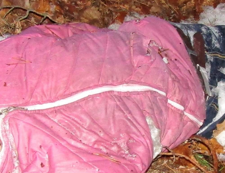На Житомирщині у лісі знайшли тіло жінки, поліцейські вставляють її особу