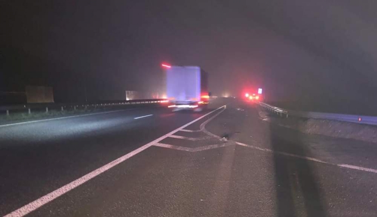 Звягельські поліцейські розшукали водія, який вчинив смертельну ДТП та втік
