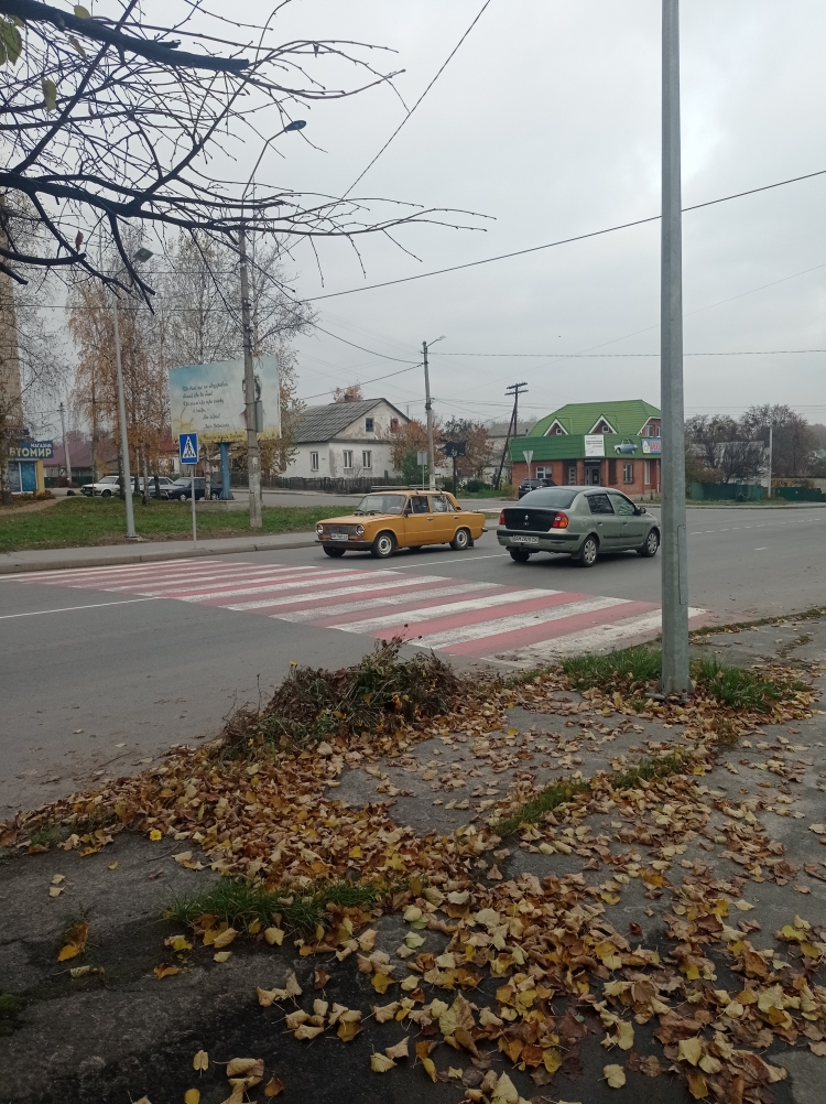 Отримали відповідь: чи стане безпечнішим пішохідний перехід у "Світанку"?