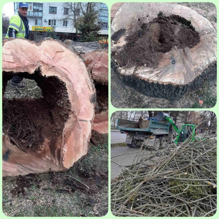 Комунальники працюють і щотижнево звітують