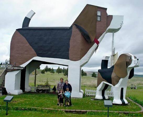 25 незвичайних готелів  в усіх куточках світу