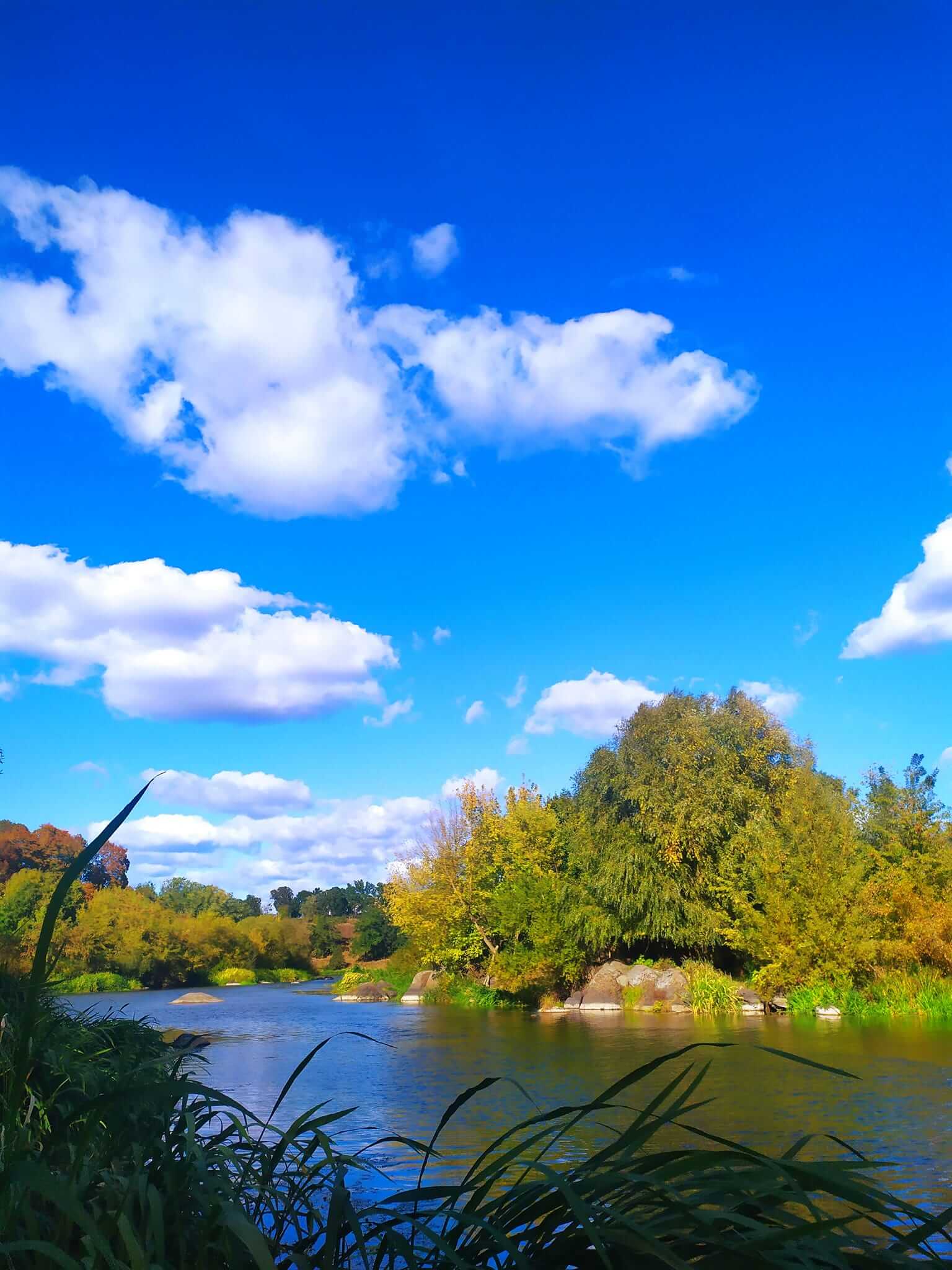 Звягельська осінь: не проминути цю мить