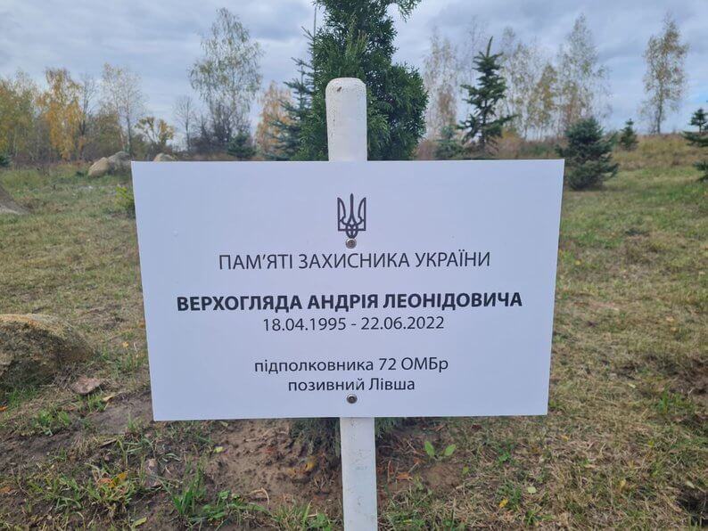 Туї — символ вічного життя У пам’ять про захисників родини висаджують красивий парк